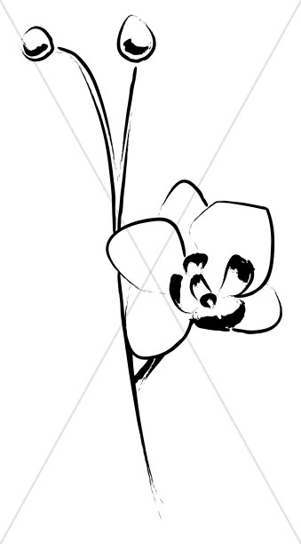 Elegant Flower Accent Sketch