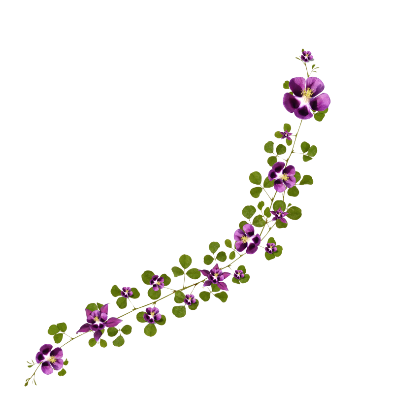 Flower Animated Clipart Flower Animations Flower Clipart Animations