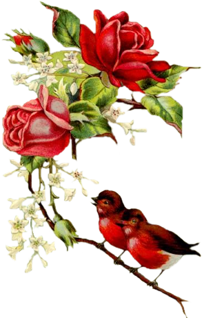     Flower Animated Clipart Flower Animations Flower Clipart Animations