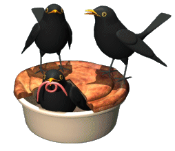Free 3d Animated Birds Blackbird Robin   Gif Animations