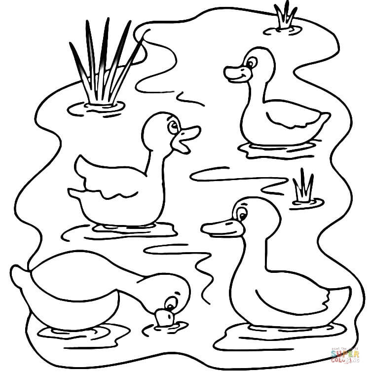 Pond Animals Coloring Online