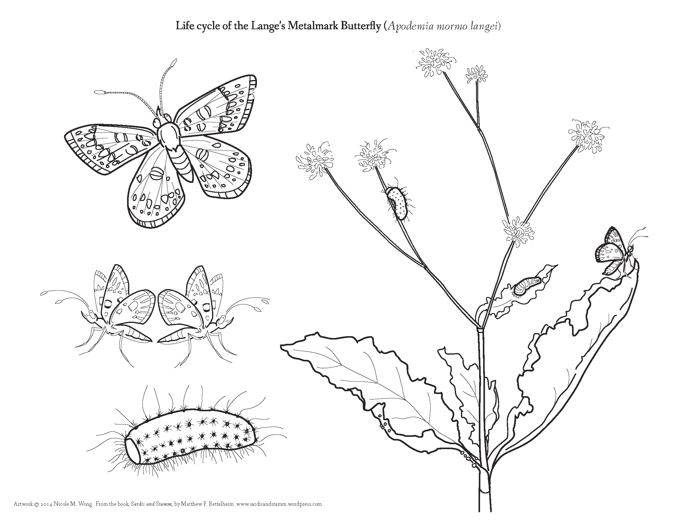 Pond Habitat Coloring Page These Two Activity Pages