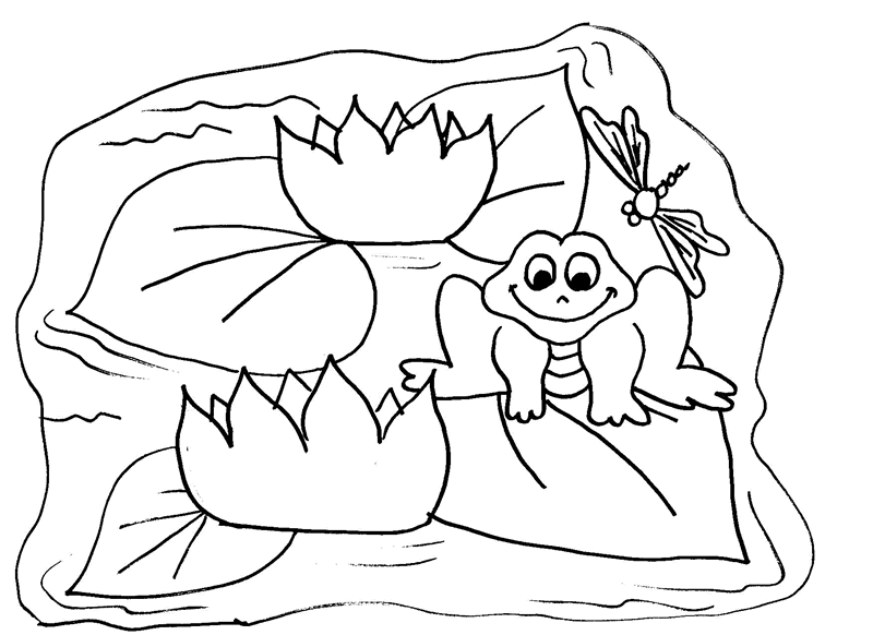 Pond Life Cyles Colouring Pages