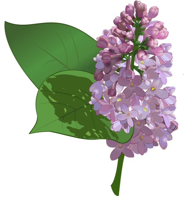 Resimleri Flower Animated Clipart Flower Animations Flower Clipart    