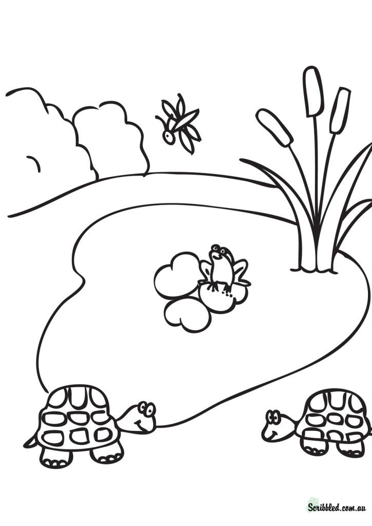 These Pond Life Coloring Pages For Free  Pond Life Coloring Pages