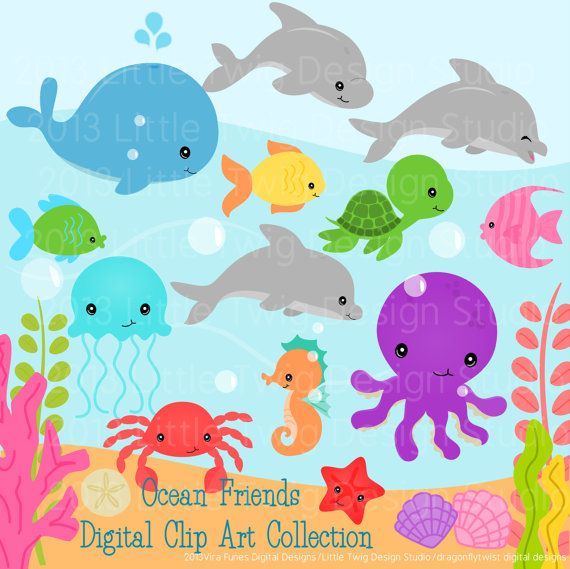 Ocean Animals Digital Clipart Clip Art Collection 2 Options Available