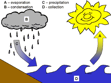 Precipitation Diagram   Clipart Best