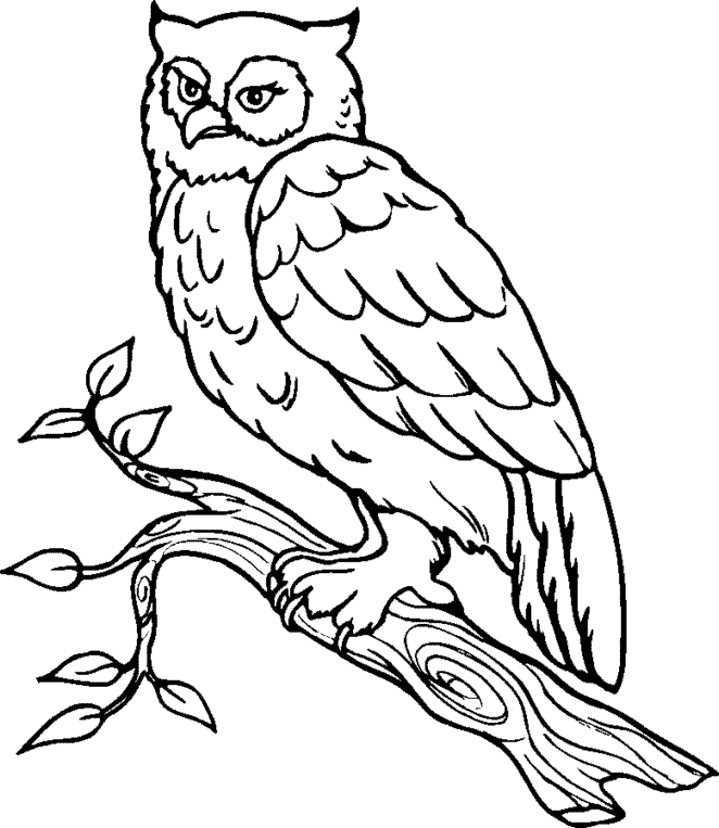 Printable Coloring Pages   Animals