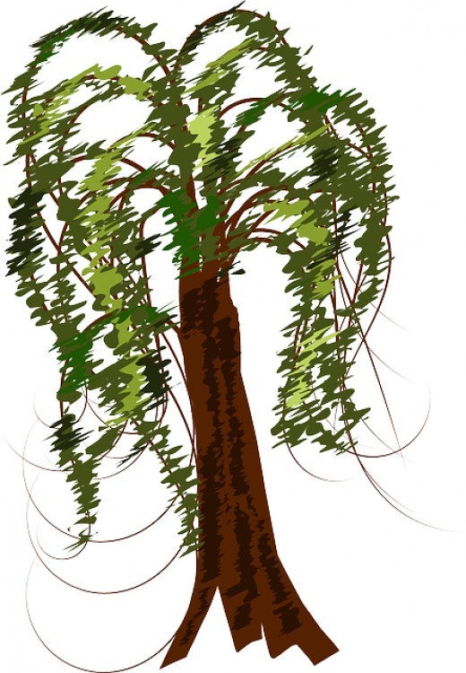 Back   Gallery For   Primitive Willow Tree Clip Art