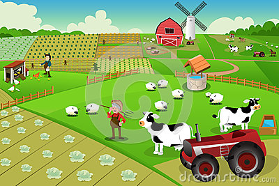 Farmer And Tractor In A Farm With Farm Animals And Barn Stock Image