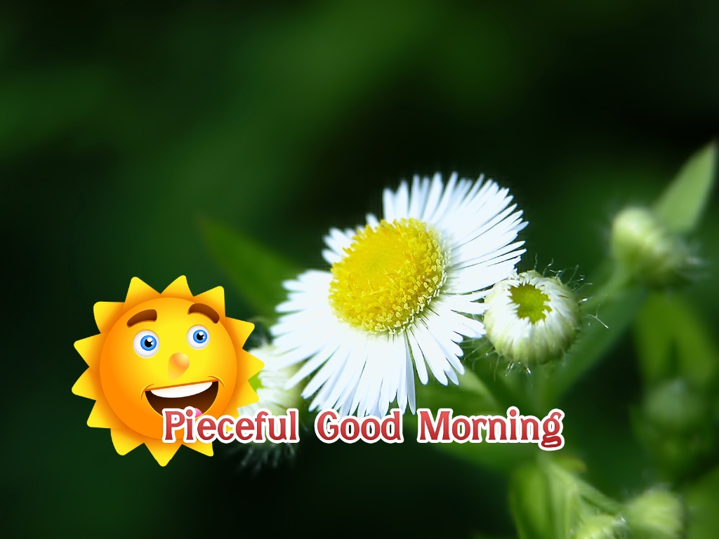 Image Good Morning Sun Clip Art Wallpaper   Good Morning   Download    