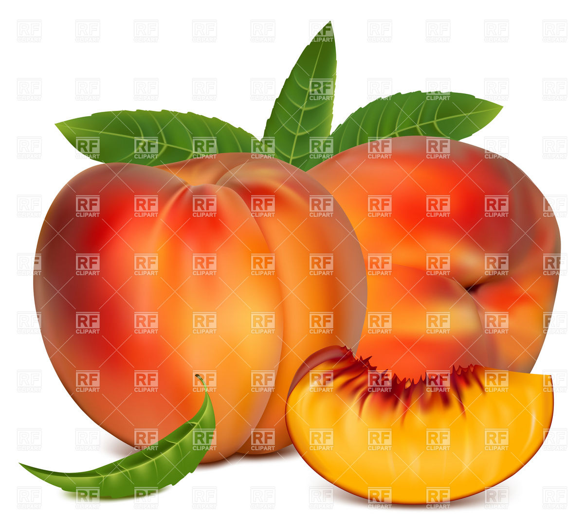 Peach Fruit With Green Leaves Download Royalty Free Vector Clipart