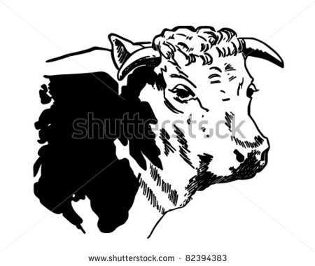 Steer Cow Stock Photos Illustrations And Vector Art