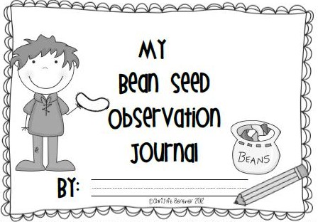 Bean Seed Clipart Images   Pictures   Becuo