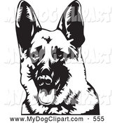 Clip Art Of A Cute And Friendly German Shepherd Dog Panting With His