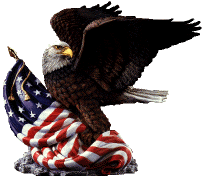Eagle On American Flag Logo