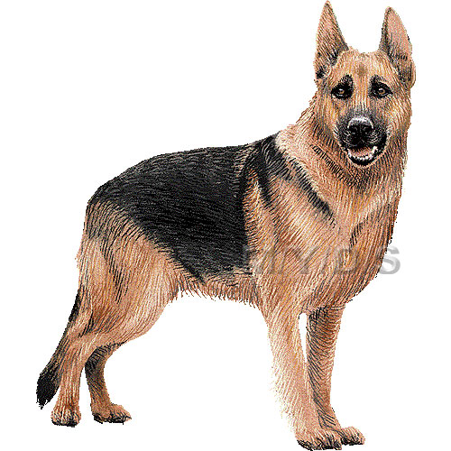 German Shepherd Dog Gsd Alsatian Clipart Graphics  Free Clip Art