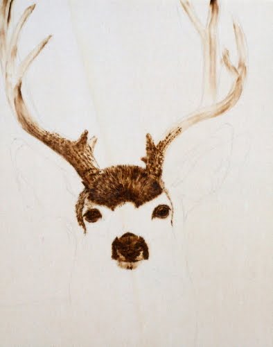 Mule Deer Buck Drawings   Boo The Dogs 2015