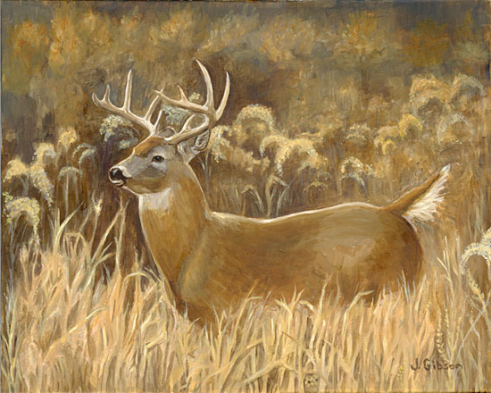 Whitetail Deer Painting   Shop Whitetail Deer Painting Sales
