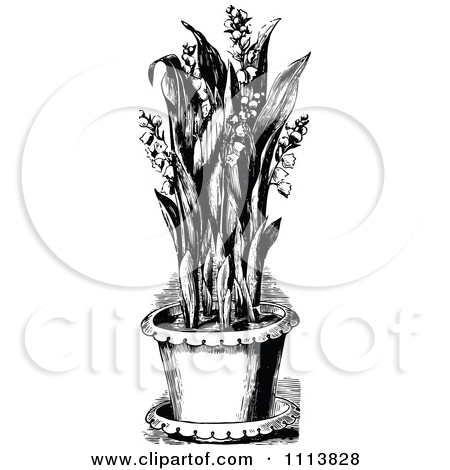 1113828 Clipart Vintage Black And White Potted Lily Of The Valley