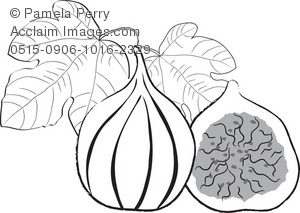 Black And White Clip Art Illustration Of Mission Figs