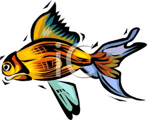 Cartoon Beta Fish Royalty Free Clipart Picture 090530 025258 021042