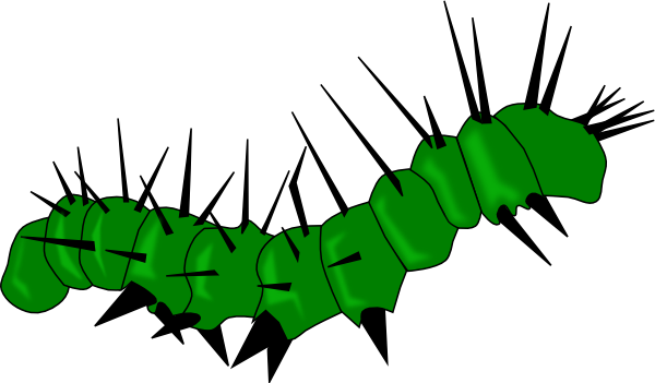 Caterpillar Clip Art At Clker Com   Vector Clip Art Online Royalty