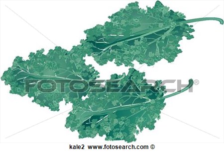 Clip Art Of Kale Kale2   Search Clipart Illustration Posters