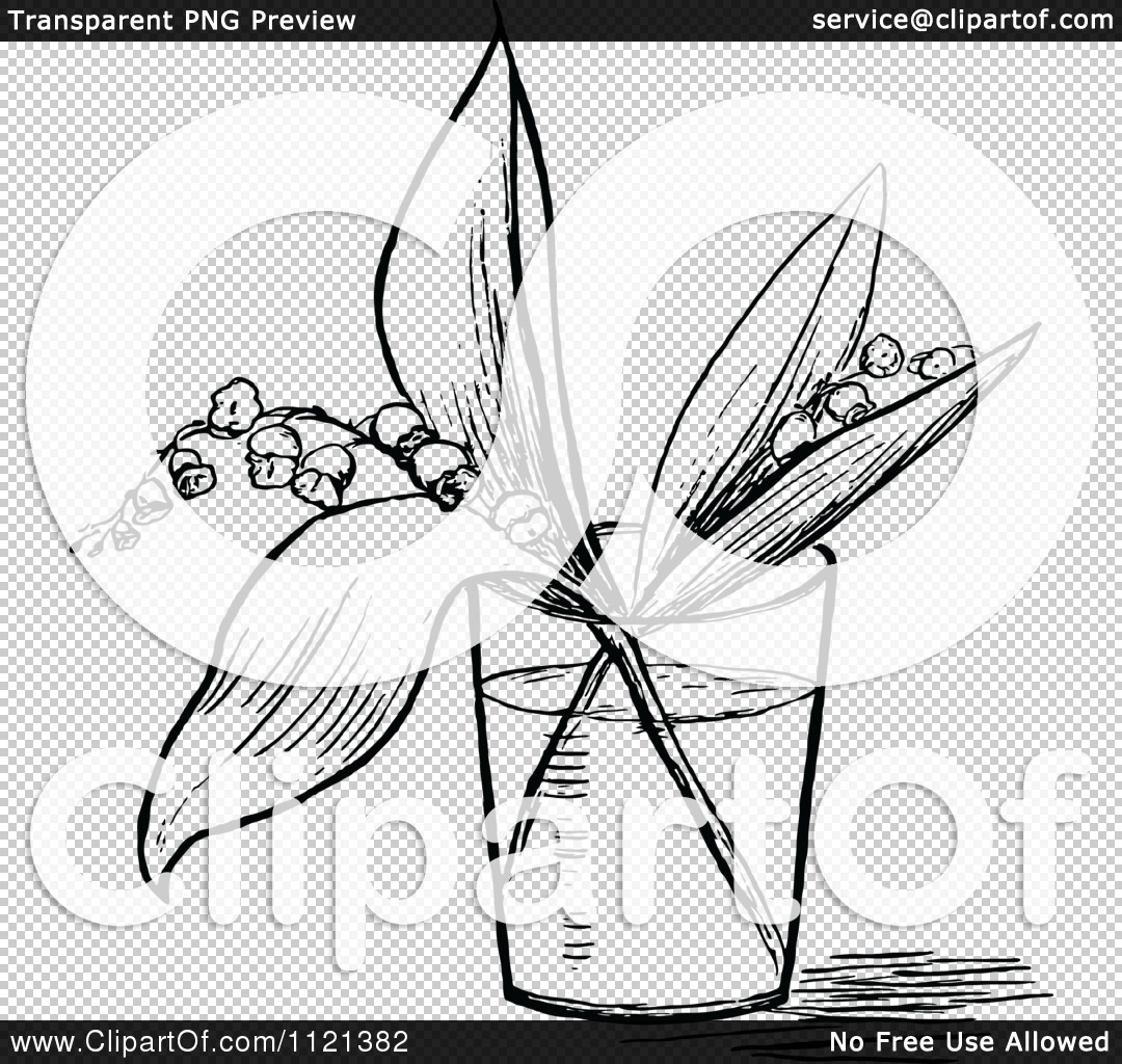 Clipart Of A Retro Vintage Black And White Lily Of The Valley Stems In