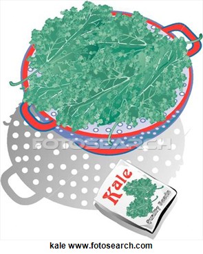 Clipart Of Kale Kale   Search Clip Art Illustration Murals Drawings