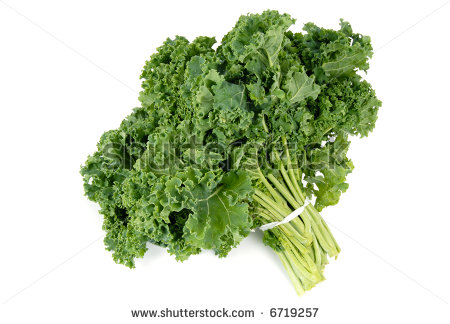 Curly Kale Stock Photos Images   Pictures   Shutterstock