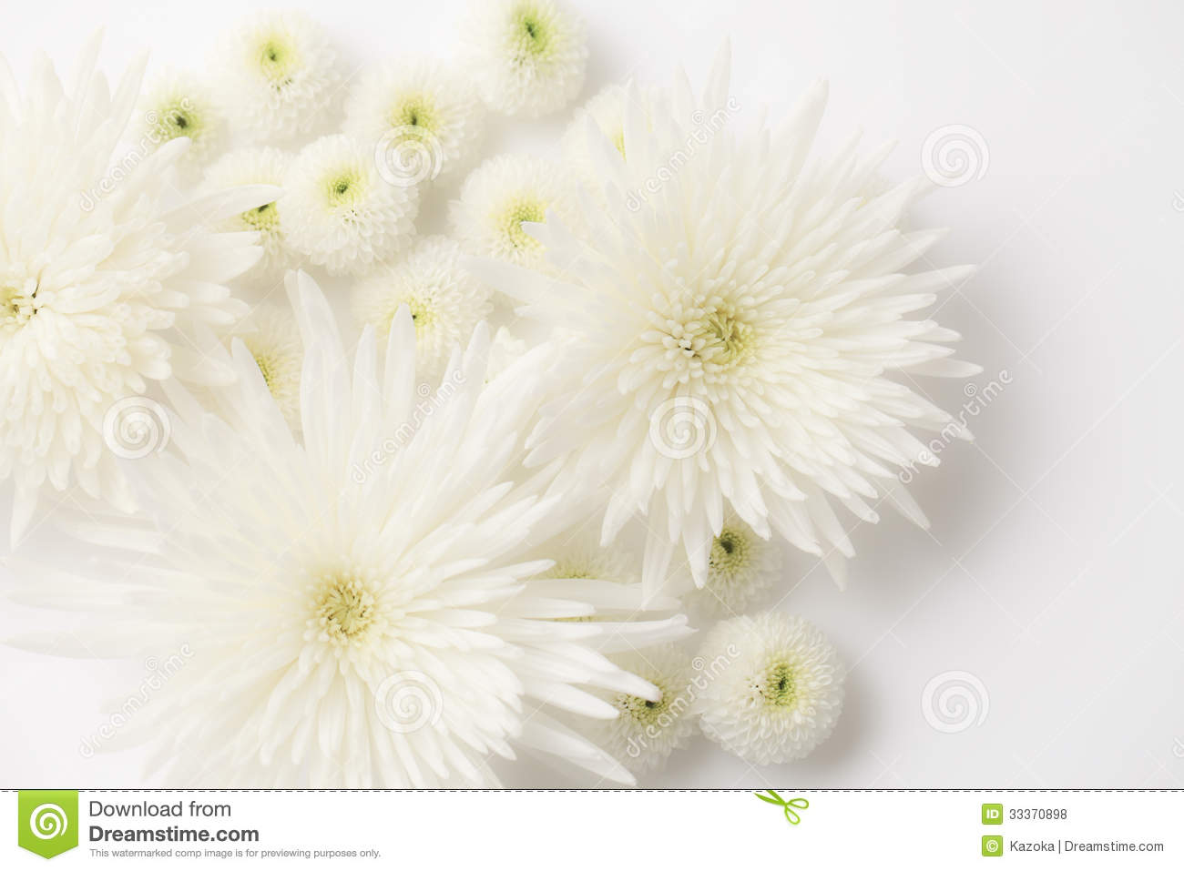 Funeral Flowers Royalty Free Stock Photos   Image  33370898