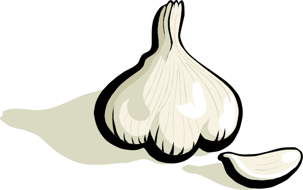 Garlic Clip Art At Clker Com   Vector Clip Art Online Royalty Free