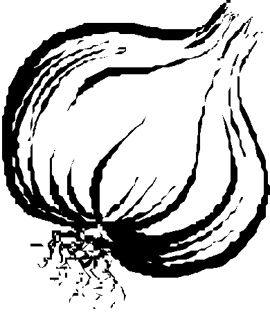 Garlic Clipart Black And White Images   Pictures   Becuo