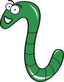 Green Worm   Clipart Graphic