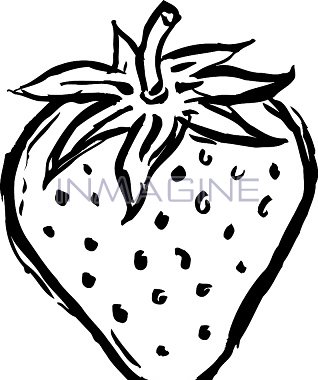 Izs004    A Black And White Drawing Of One Strawberry   Izs004529