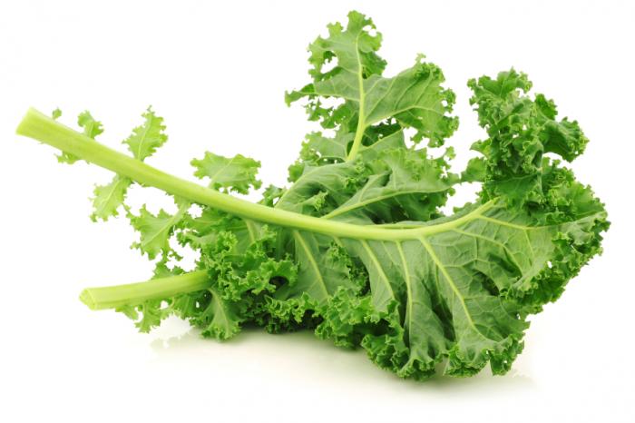 Kale Is Packed With Nutrition That Puts It High On The List Of The