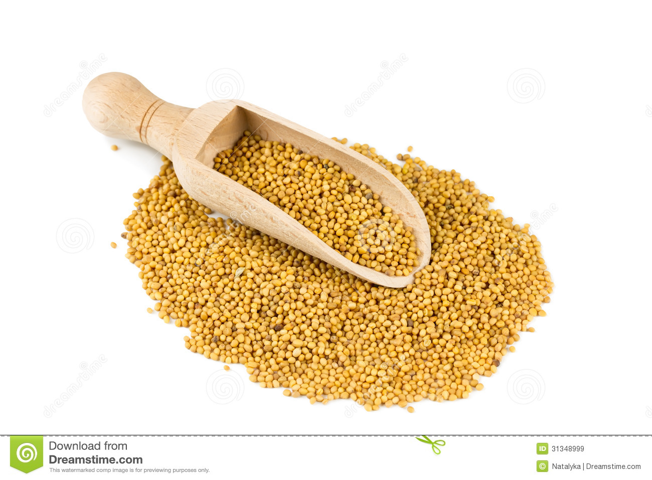 Mustard Seeds In A Spoon For Spices Royalty Free Stock Images   Image    