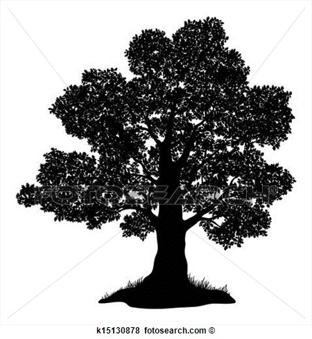 Related Pictures Black And White Oak Tree Clip Art Free Vector For Car
