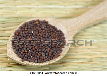 Stock Photo   Brown Mustard Seeds  Fotosearch   Search Stock Images