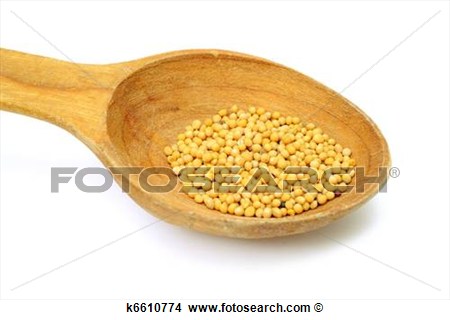 Stock Photo Of Seeds Of Mustard K6610774   Search Stock Images Mural    