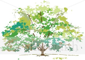 Summer Foliage Maple Tree   Nature Clipart