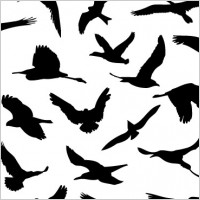 26 Flying Birds Silhouette Free Cliparts That You Can Download To You