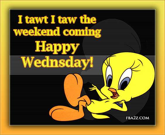 Name  Wednesday Humpday Hump Day Tweety Bird Cartoon Cute Adorable Fb