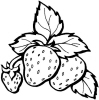 Strawberries And Leaves For Address Labels Or Rubber Stamps