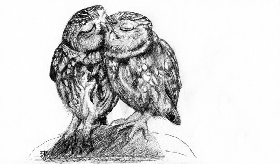 Two Owls Kissing