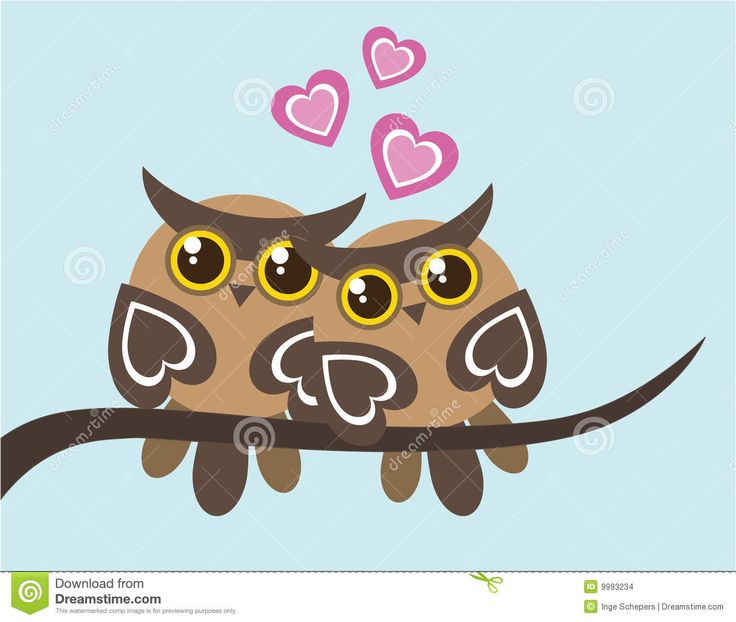 Wedding Greeting Cards Owl Obsession Cards Husband Owl Logos Owl