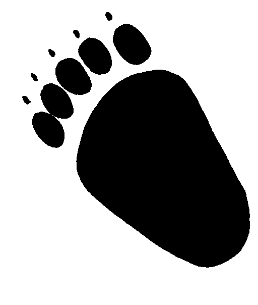 Animal Footprints Clip Art   Cliparts Co