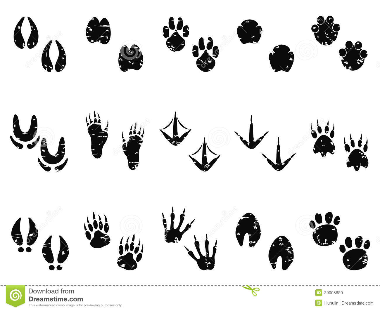Animal Footprints Clip Art Grungy Animal Footprint Track