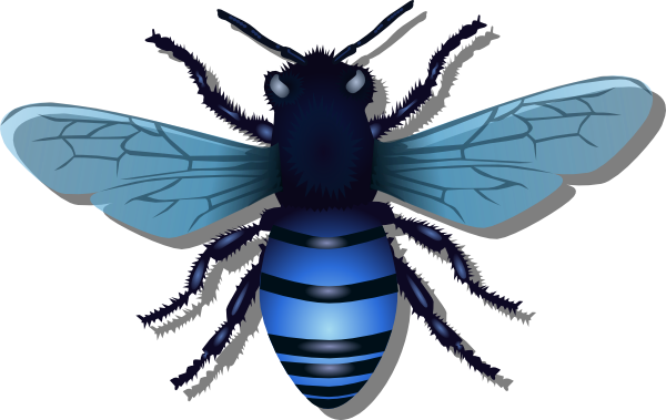 Bee Blue   Free Images At Clker Com   Vector Clip Art Online Royalty    